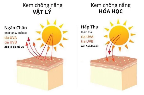 N&ecirc;n d&ugrave;ng kem chống nắng vật l&yacute; hay h&oacute;a học?