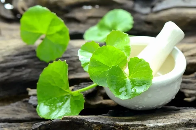 Mặt nạ rau m&aacute; trị mụn
