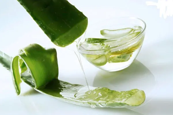 c&aacute;ch tẩy trang khi kh&ocirc;ng c&oacute; nước tẩy trang bằng nha đam