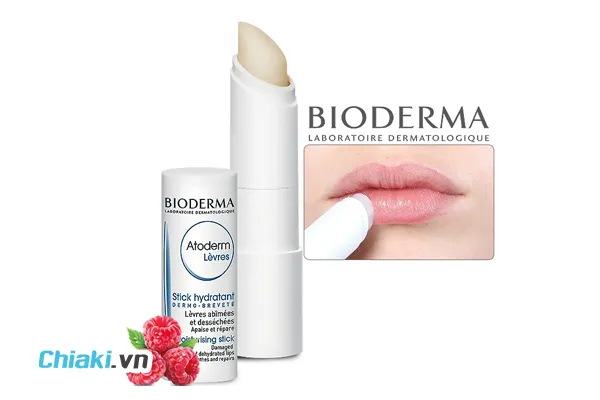 Son Dưỡng M&ocirc;i Trị Th&acirc;m Bioderma Atoderm Levres Stick Hydratant