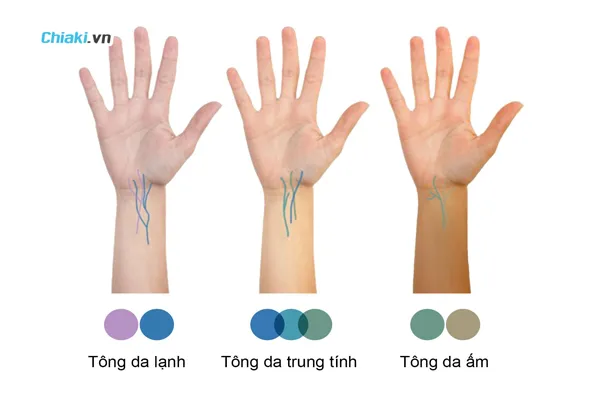 C&aacute;ch x&aacute;c định t&ocirc;ng m&agrave;u da chuẩn