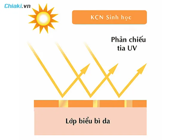 kem chống nắng sinh học hoạt động tr&ecirc;n cơ chế phản quang