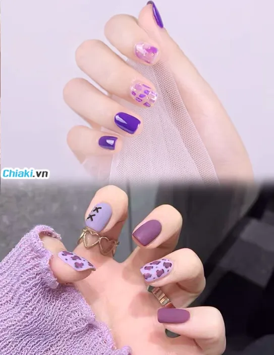 M&agrave;u t&iacute;m thanh lịch (Elegant Purple)