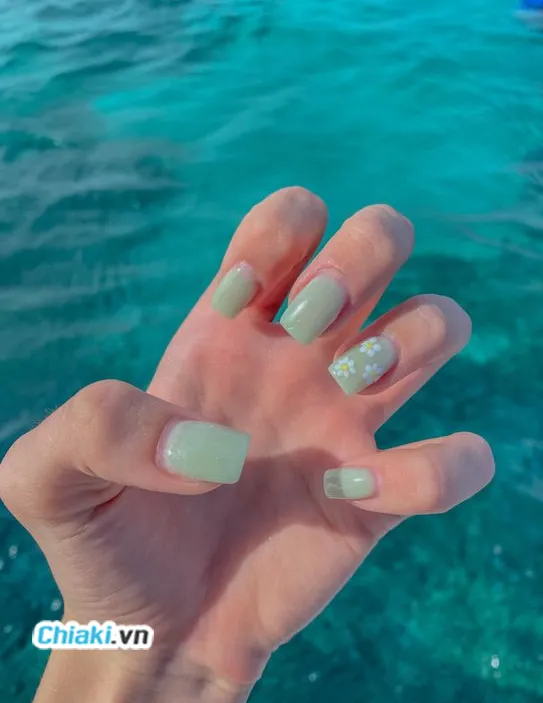 M&agrave;u xanh mint (Mint Green)