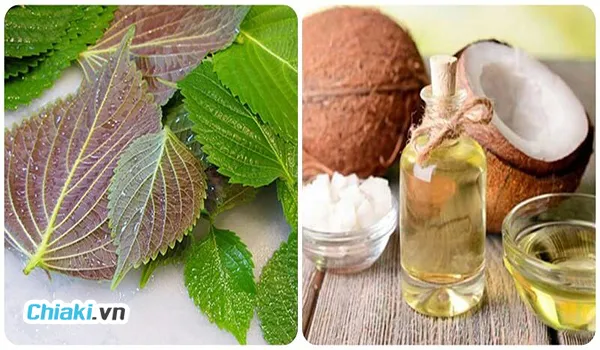 Bật t&ocirc;ng trắng da nhanh với mặt bằng l&aacute; t&iacute;a t&ocirc; dầu dừa