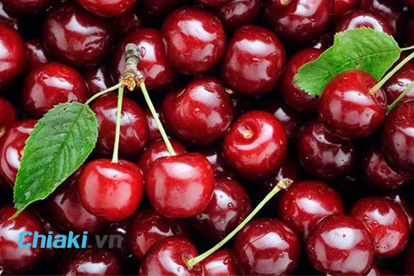 Qủa Cherry chứa nguồn dưỡng chất dồi d&agrave;o, tốt cho sức khỏe v&agrave; l&agrave;n da