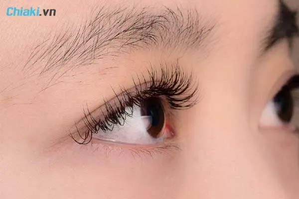 Tại sao n&ecirc;n sử dụng dưỡng mi