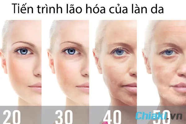Tuổi t&aacute;c l&agrave; nguy&ecirc;n nh&acirc;n h&agrave;ng đầu khiến da l&atilde;o h&oacute;a