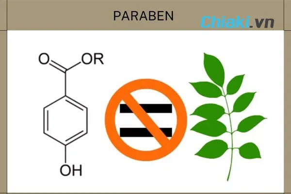 Parabens l&agrave; th&agrave;nh phần n&ecirc;n tr&aacute;nh trong tất cả c&aacute;c d&ograve;ng mỹ phẩm