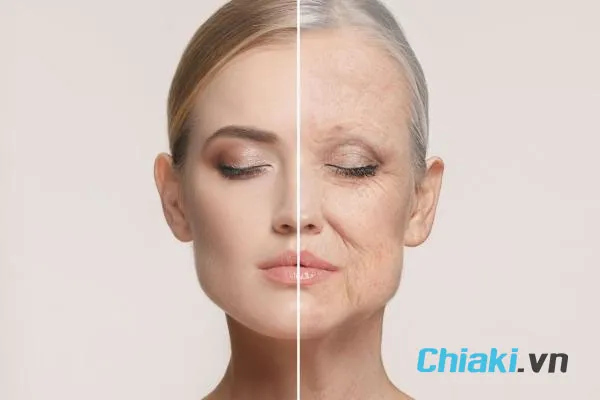 Sử dụng kem n&acirc;ng cơ trước khi d&ugrave;ng kem dưỡng ẩm