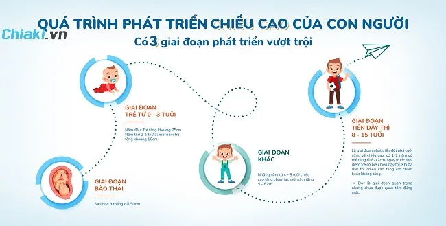 C&aacute;c giai đoạn ph&aacute;t triển chiều cao tốt ở trẻ