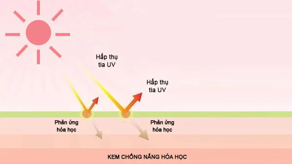 Cơ chế hoạt động của kem chống nắng h&oacute;a học