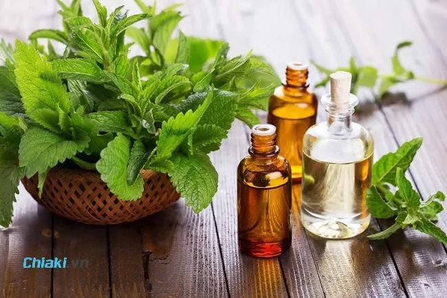 Nước s&uacute;c miệng quế bạc h&agrave;