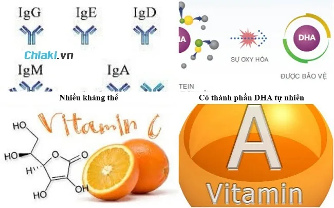 Th&agrave;nh phần dinh dưỡng c&oacute; trong sữa mẹ