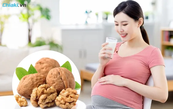 sữa &oacute;c ch&oacute; cho b&agrave; bầu cung cấp nhiều vitamin v&agrave; dưỡng chất