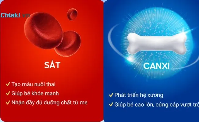Vai tr&ograve; của sắt v&agrave; canxi cho b&agrave; bầu v&agrave; thai nhi