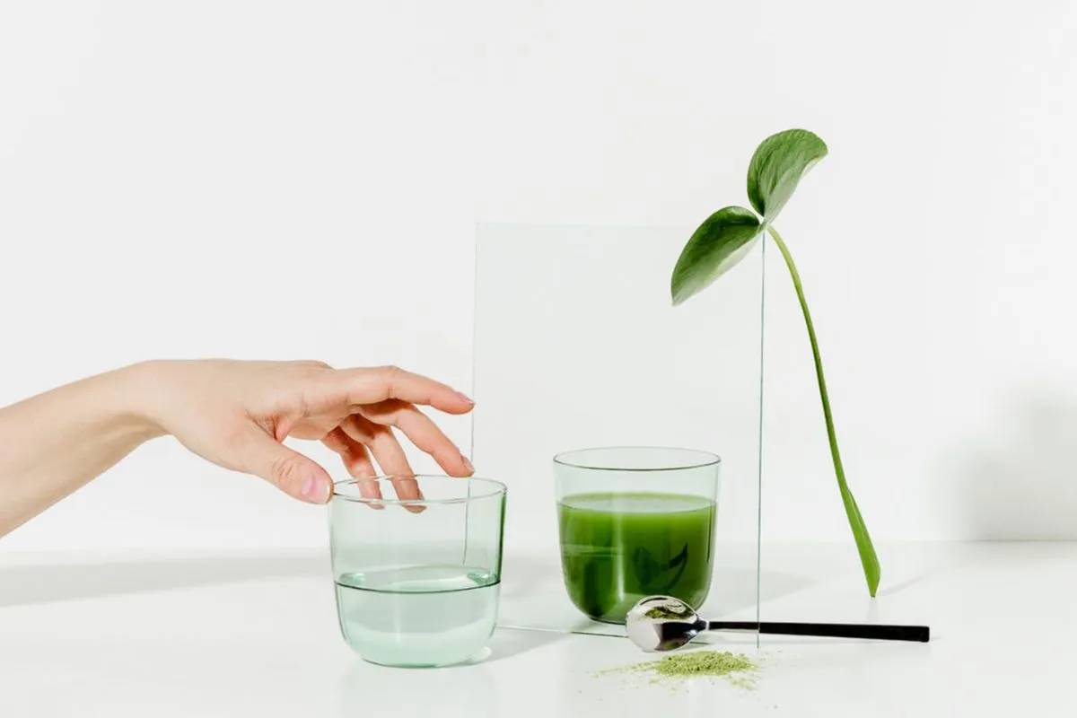 Uống diệp lục c&oacute; tốt kh&ocirc;ng?