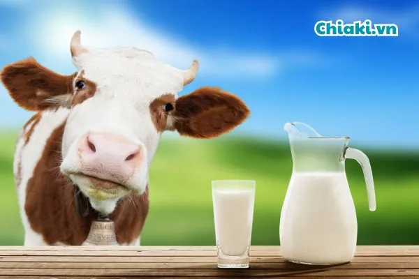 Sữa c&ocirc;ng thức sản phẩm bổ sung dinh dưỡng tốt cho trẻ