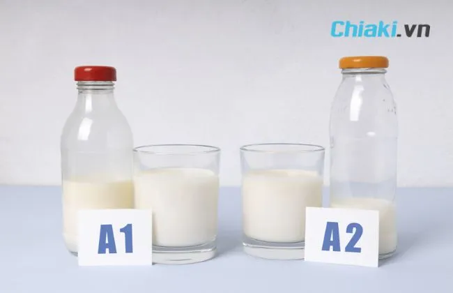 So s&aacute;nh sữa đạm A2 v&agrave; A1
