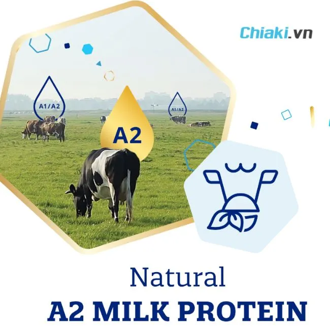 Sữa đạm A2 l&agrave; g&igrave;
