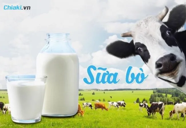 Sữa b&ograve;