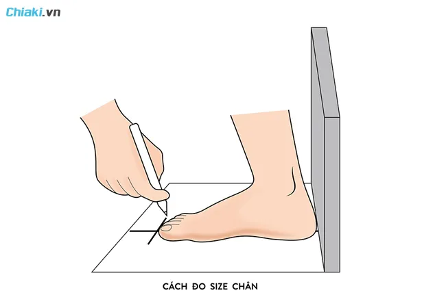c&aacute;ch đo b&agrave;n ch&acirc;n để lựa chọn size gi&agrave;y converse ph&ugrave; hợp