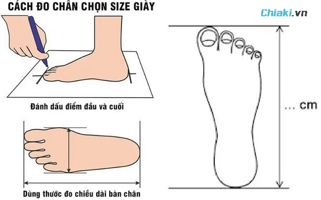 Đo size ch&acirc;n bằng c&aacute;ch sử dụng giấy b&uacute;t v&agrave; đo k&iacute;ch thước ch&acirc;n tr&ecirc;n giấy