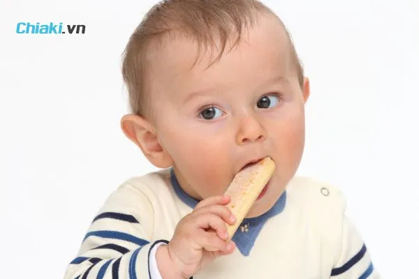 C&aacute;c loại b&aacute;nh ăn dặm cho b&eacute;