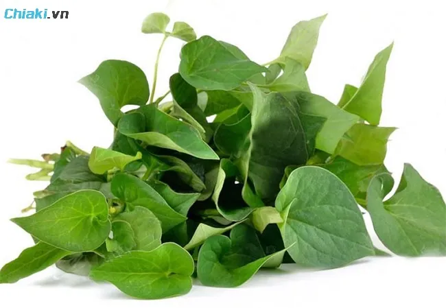 C&aacute;ch chữa vi&ecirc;m &acirc;m đạo tại nh&agrave; bằng rau diếp c&aacute;