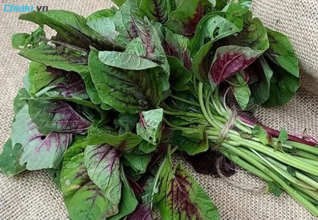 rau cho b&eacute; ăn dặm phải kể đến rau dền
