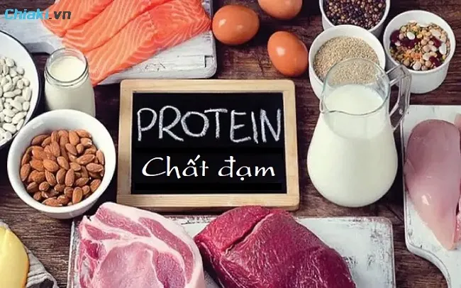 Chất đạm đ&oacute;ng vai tr&ograve; quan trọng cho sự tăng trưởng của con