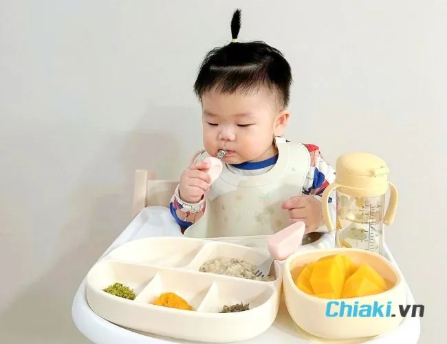 Ti&ecirc;u ch&iacute; chọn mua khay ăn dặm l&agrave;nh t&iacute;nh cho b&eacute;