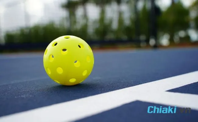 B&oacute;ng Pickleball
