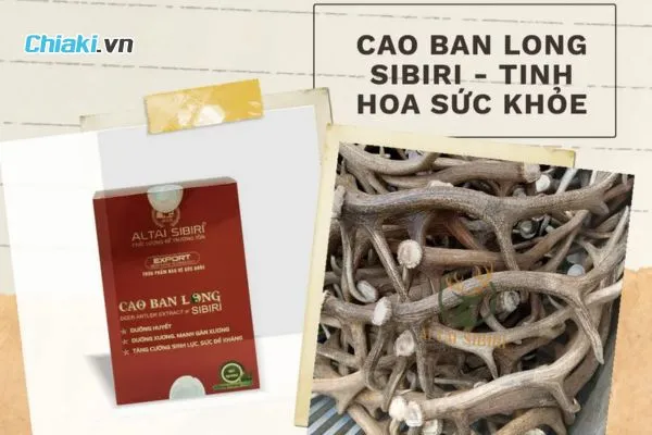 Nhung Hươu Cao Ban Long Sibiri