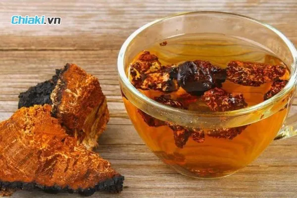 Nấm Chaga th&aacute;i l&aacute;t hỗ trợ tăng cường sức khỏe Nga