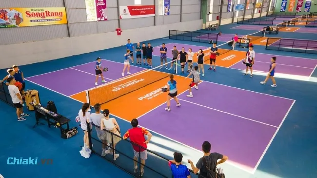 S&acirc;n Pickleball Phoenix 8S quy m&ocirc; 8 s&acirc;n trong nh&agrave; x&acirc;y dựng khang trang