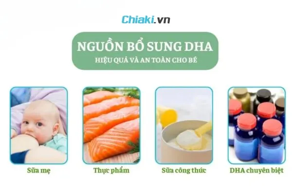 C&aacute;c nguồn bổ sung DHA cho b&eacute;