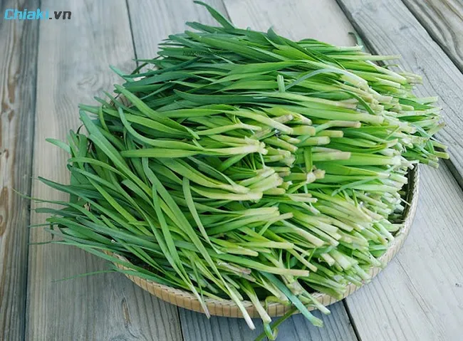 C&aacute;ch l&agrave;m l&aacute; hẹ chữa ho cho b&eacute;&nbsp;