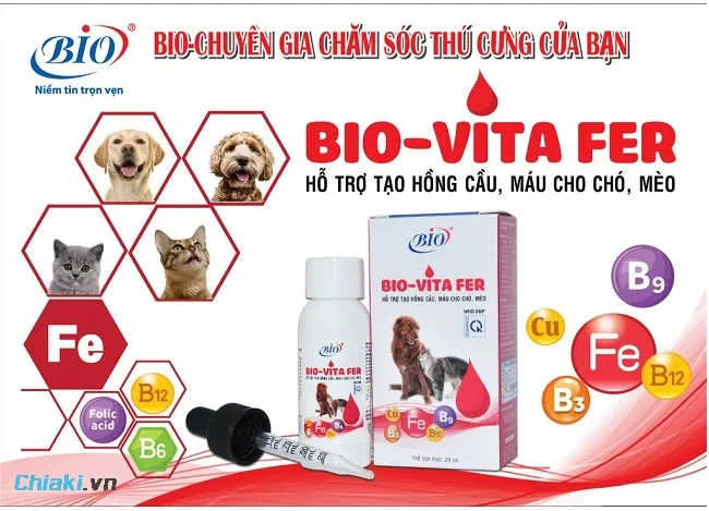 Dung dịch bổ m&aacute;u Bio-Vita Fer dạng uống&nbsp;hỗ trợ tạo m&aacute;u, hồng cầu