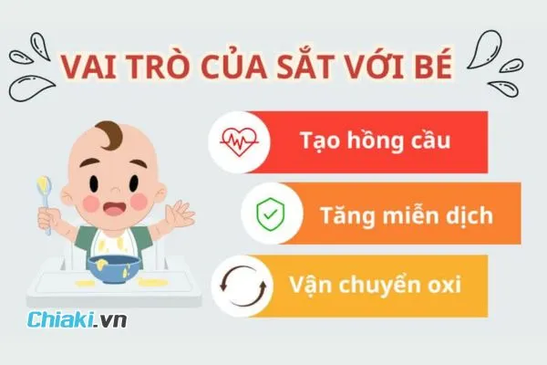 Vai tr&ograve; của sắt đối với trẻ em