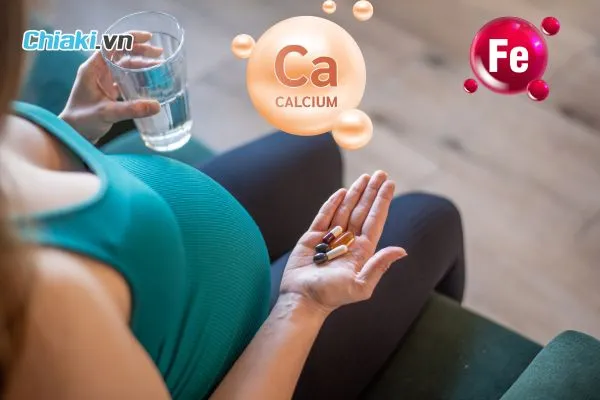 Vai tr&ograve; của sắt v&agrave; canxi đối với b&agrave; bầu