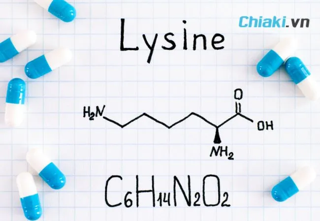 Bổ sung Lysine 1 năm mấy lần