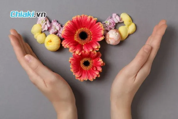 Phụ nữ tiền m&atilde;n kinh n&ecirc;n bổ sung vitamin g&igrave;?