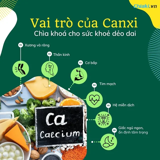 Canxi hỗ trợ trong qu&aacute; tr&igrave;nh co v&agrave; gi&atilde;n cơ, gi&uacute;p trẻ được vận động linh hoạt hơn