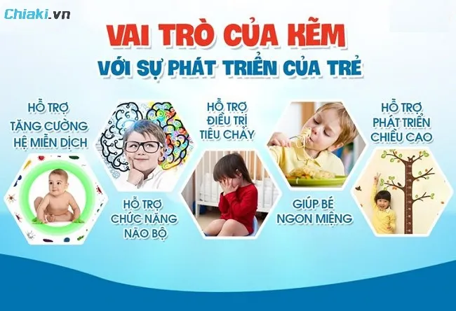 Kẽm c&oacute; một vai tr&ograve; thiết yếu trong qu&aacute; tr&igrave;nh hỗ trợ tạo n&ecirc;n miễn dịch ở trẻ