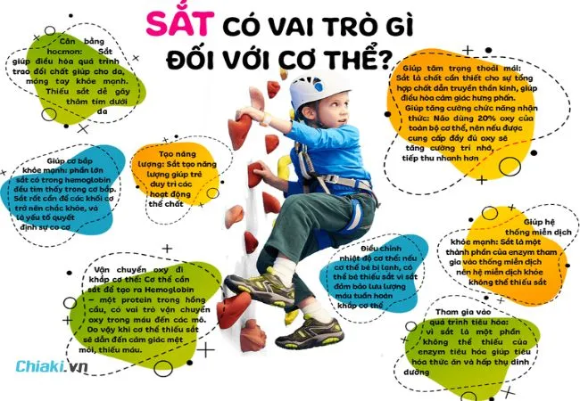 Sắt đồng h&agrave;nh v&agrave; g&oacute;p phần tạo n&ecirc;n nền tảng sức khỏe vững chắc cho b&eacute;