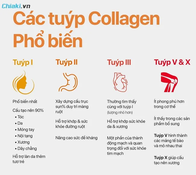 Sử dụng loại Collagen kh&ocirc;ng ph&ugrave; hợp với cơ thể