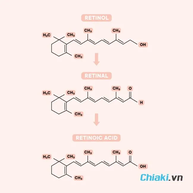 Cơ chế hoạt động của Retinal