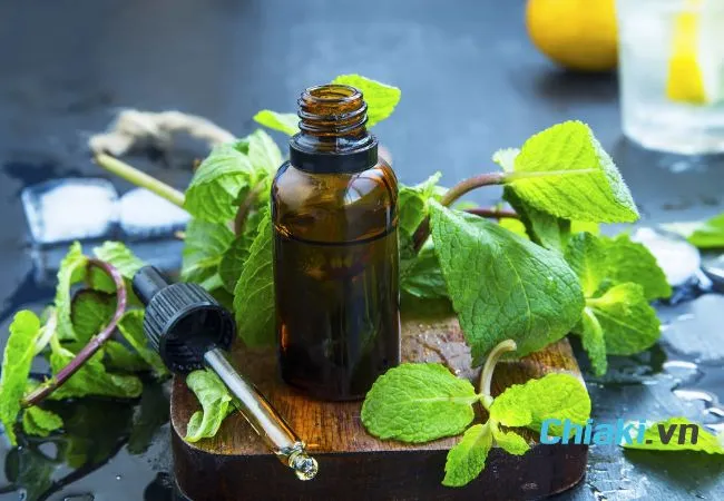 Tinh dầu bạc h&agrave; đuổi gi&aacute;n