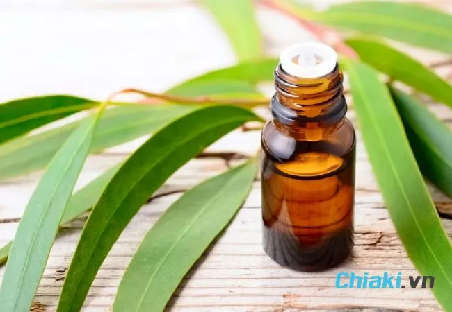 Tinh dầu khuynh diệp đuổi gi&aacute;n